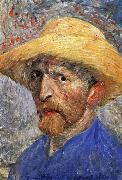 Self-Portrait in a Straw Hat Vincent Van Gogh